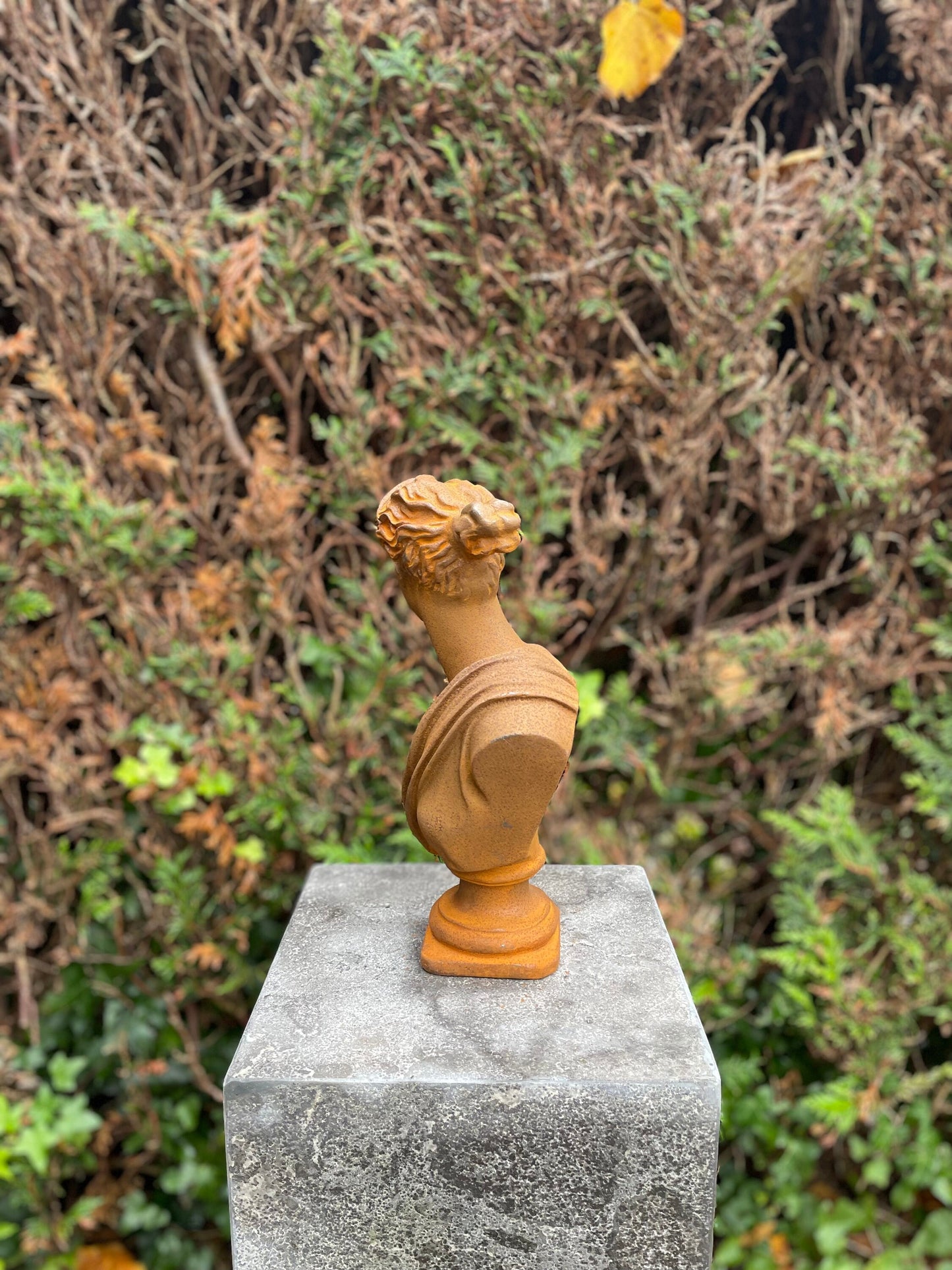 Classical Lady Bust – Iron Sculpture. 29x16x11cm - 3.5Kg