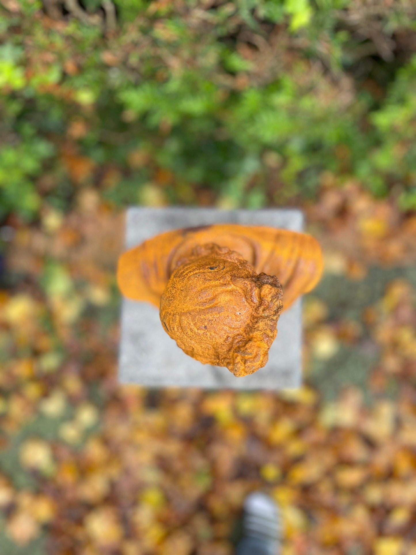 Apollo Bust – Iron Sculpture. 31x32x14cm