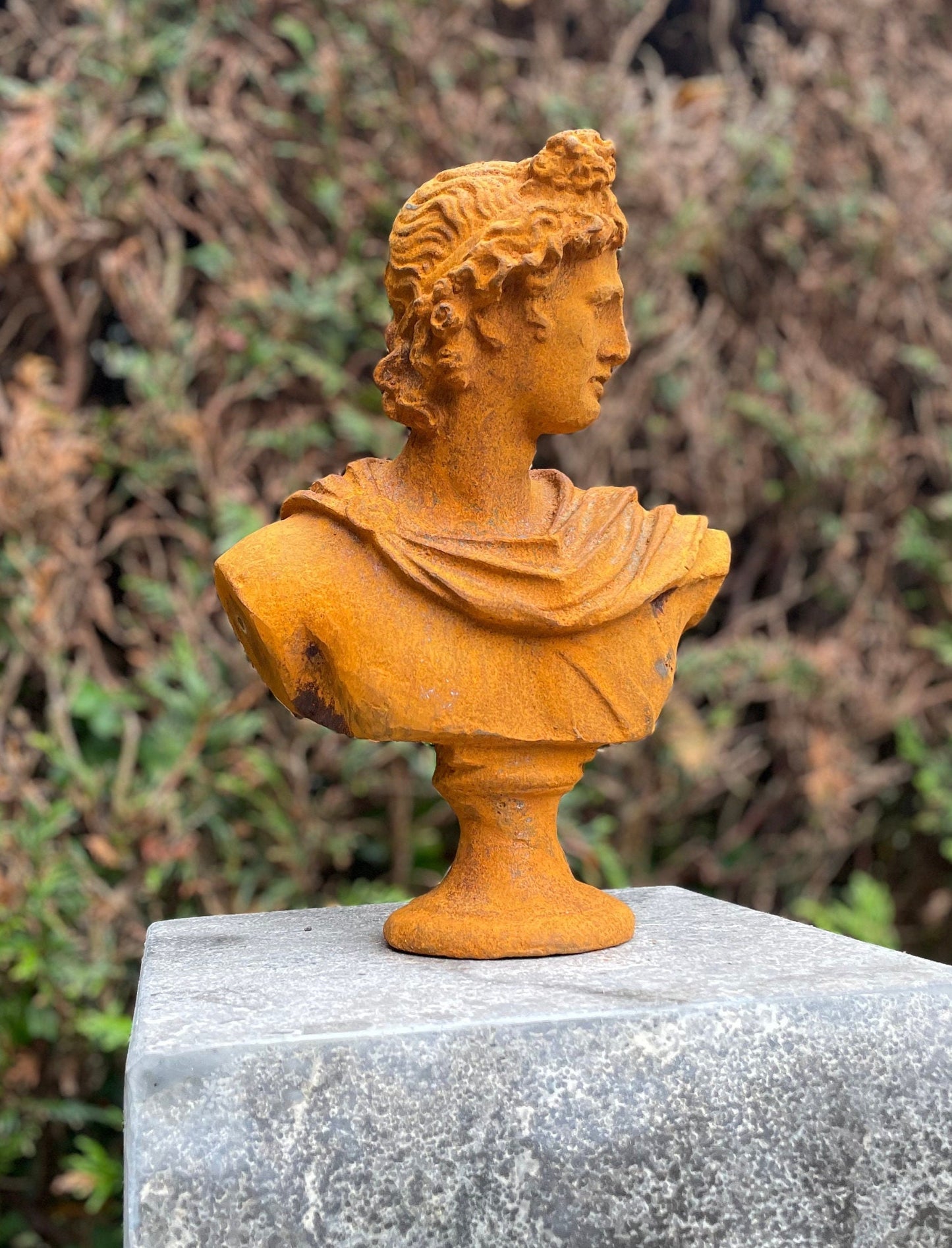 Apollo Bust – Iron Sculpture. 31x32x14cm