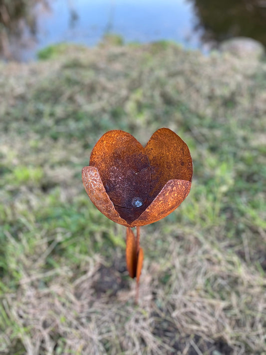 Rust Tulip – Iron Sculpture. 55x1x160cm