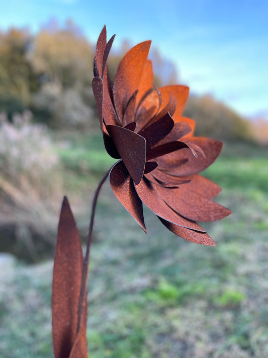 Garden Bloom – Iron Sculpture. 55x1x160cm