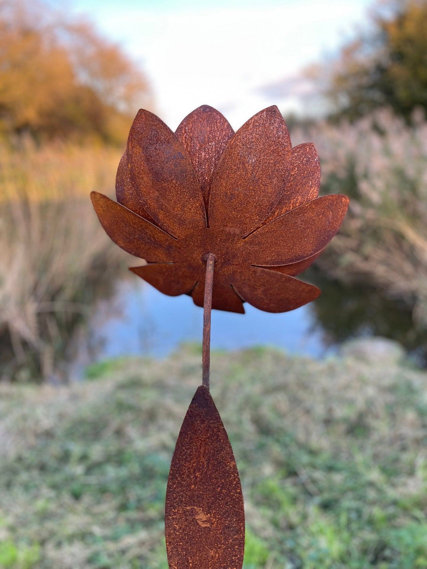 Garden Bloom – Iron Sculpture. 55x1x160cm