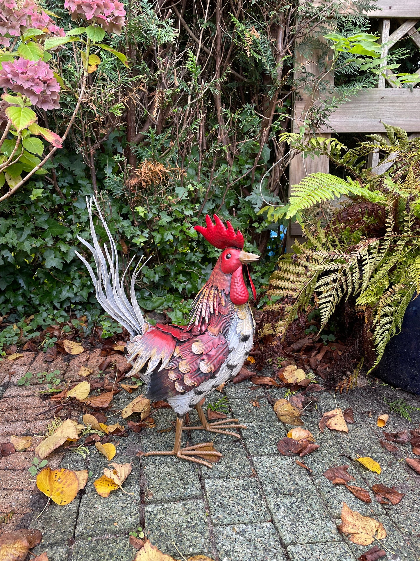 Colorful Rooster – Iron Sculpture. 32x16x52cm - 0.4Kg