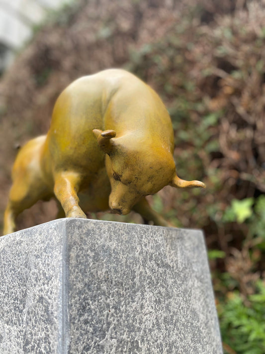 Golden Bull Pose – Bronze Sculpture. 38x20x27cm - 6Kg