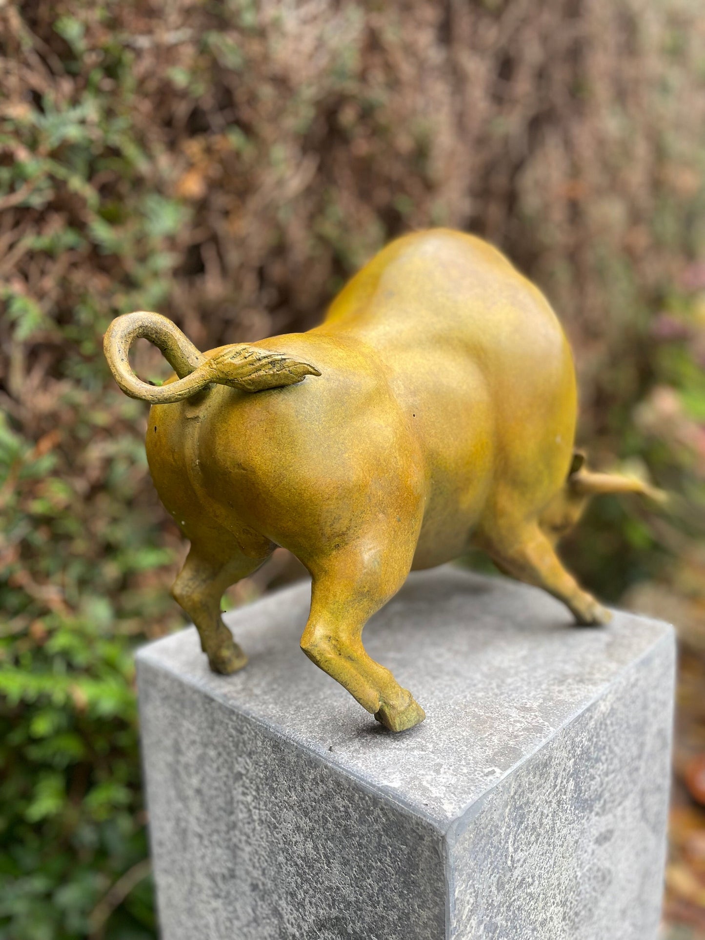 Golden Bull Pose – Bronze Sculpture. 38x20x27cm - 6Kg
