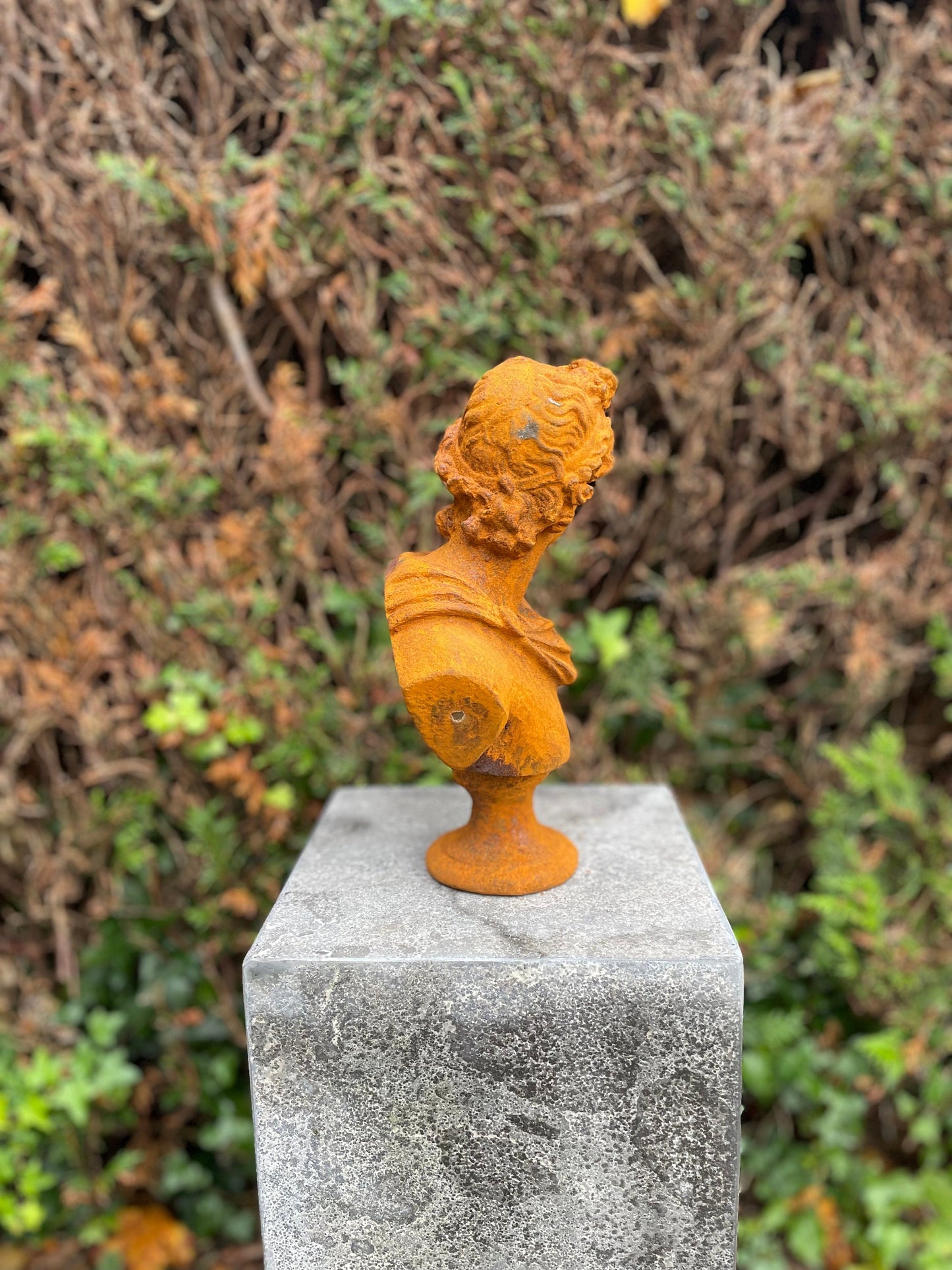 Apollo Bust – Iron Sculpture. 31x32x14cm