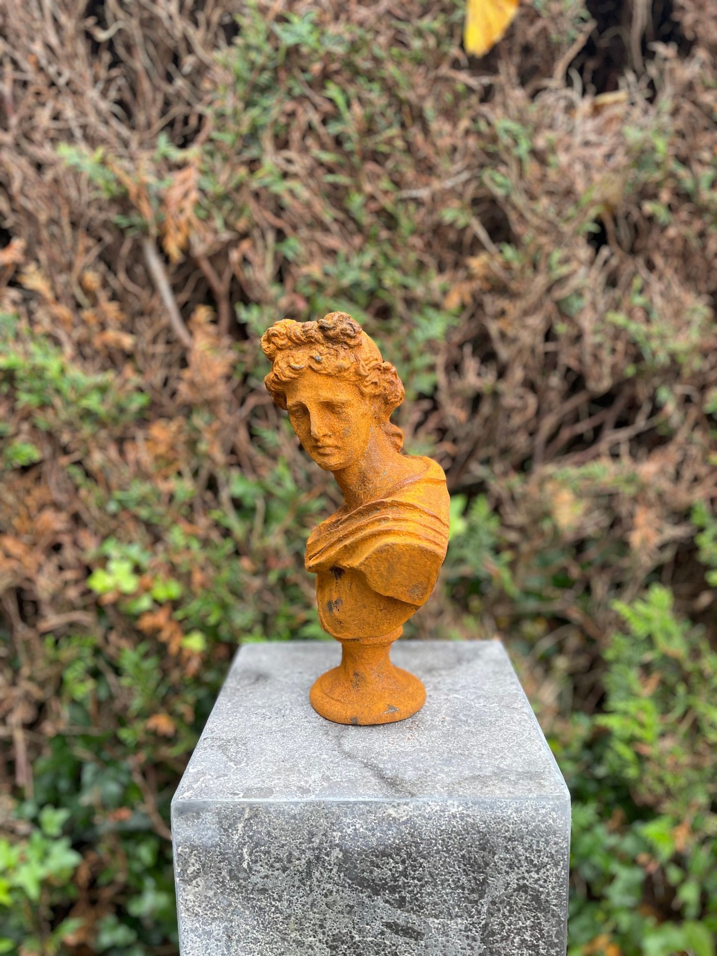 Apollo Bust – Iron Sculpture. 31x32x14cm