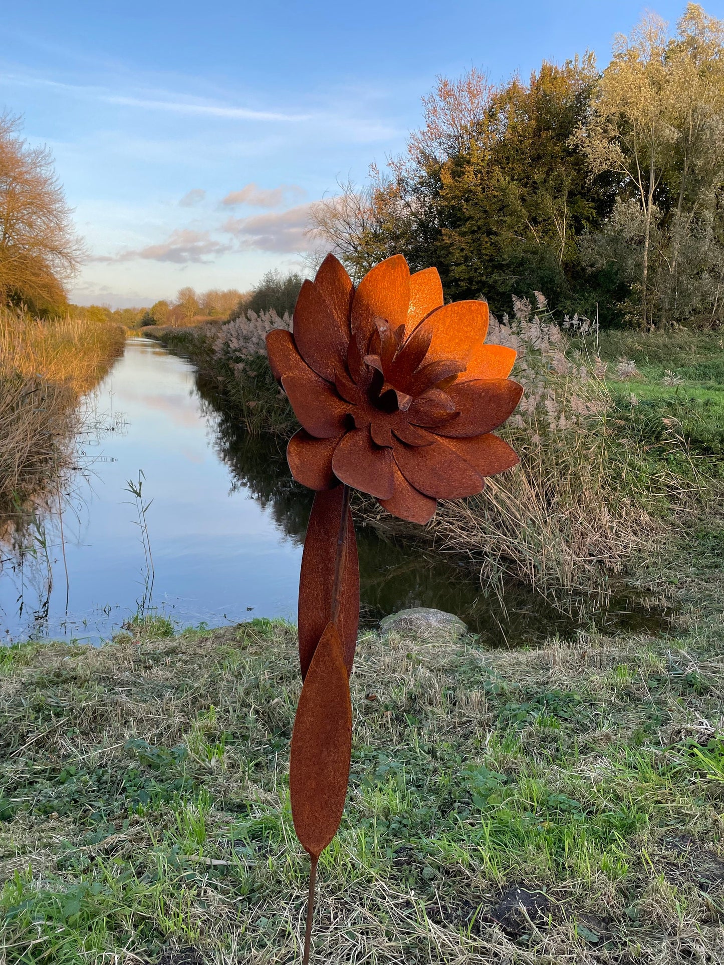 Garden Bloom – Iron Sculpture. 55x1x160cm