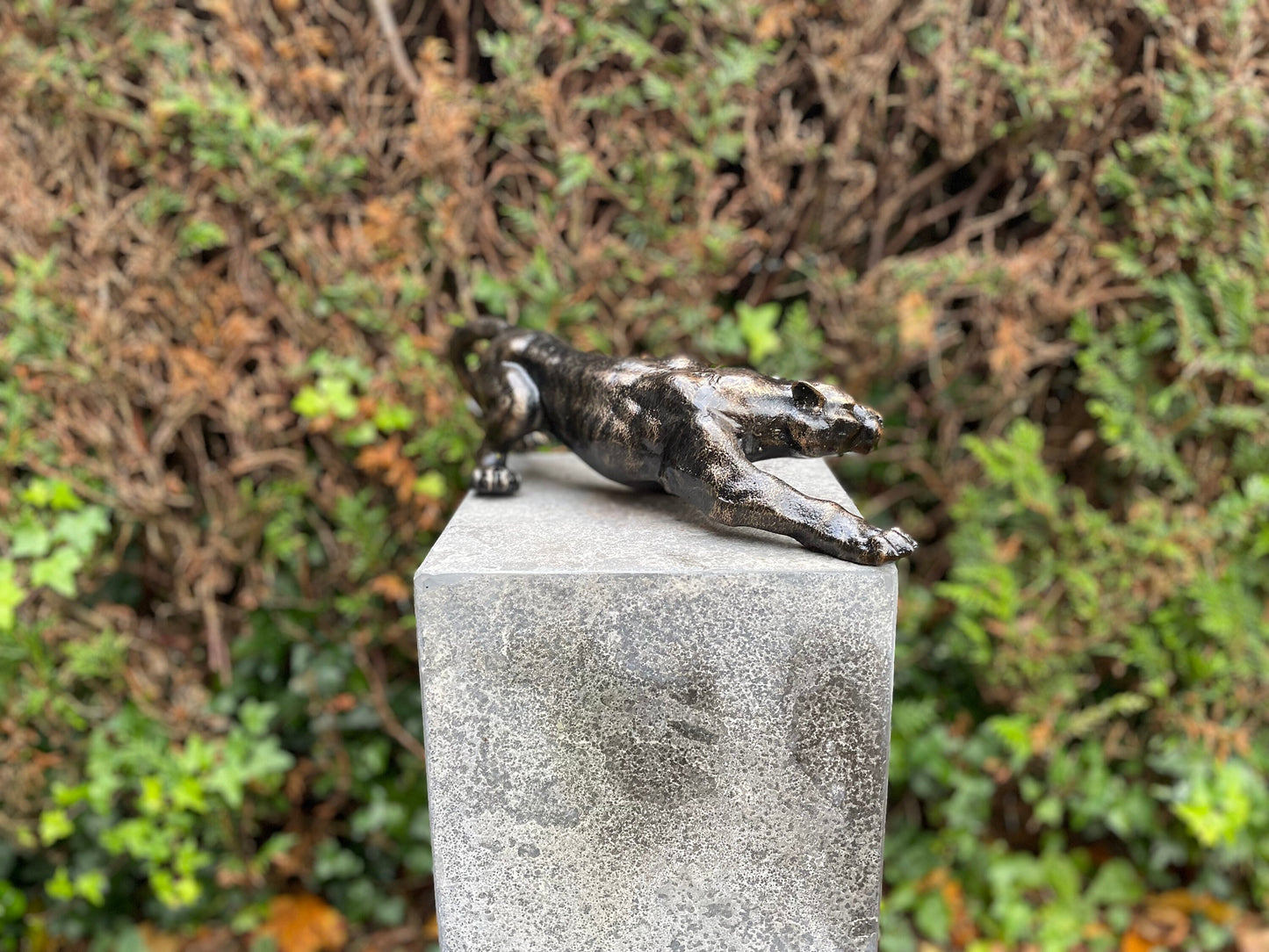 Crouching Panther – Bronze Sculpture. 4.3Kg