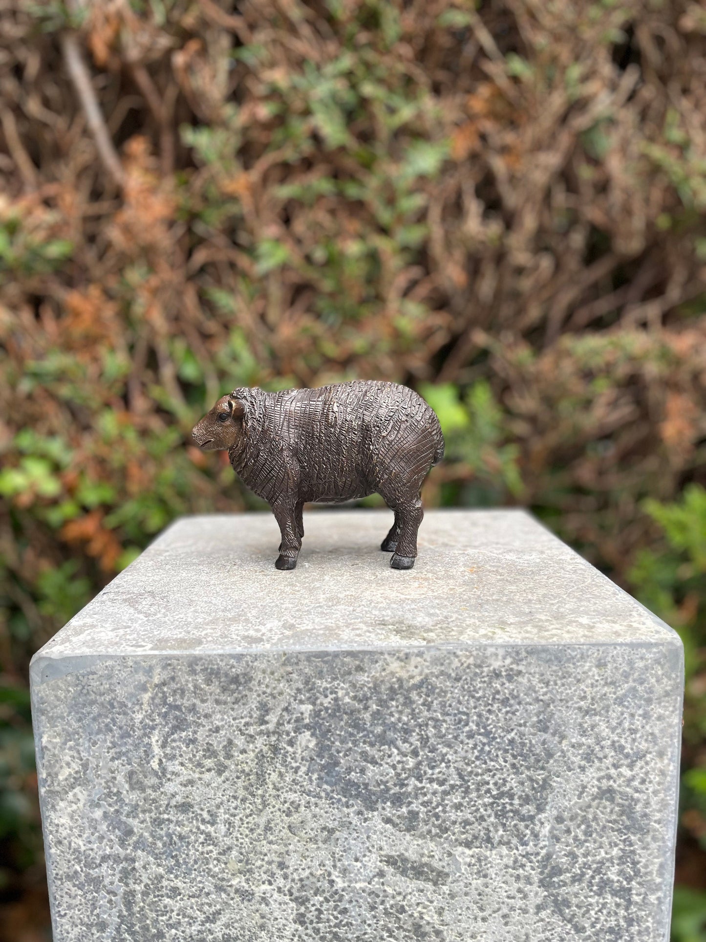 Woolly Sheep – Bronze Sculpture. 14x6x10cm - 0.5Kg