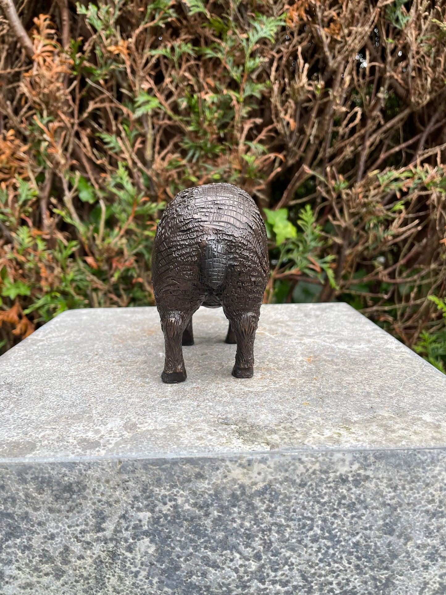 Woolly Sheep – Bronze Sculpture. 14x6x10cm - 0.5Kg