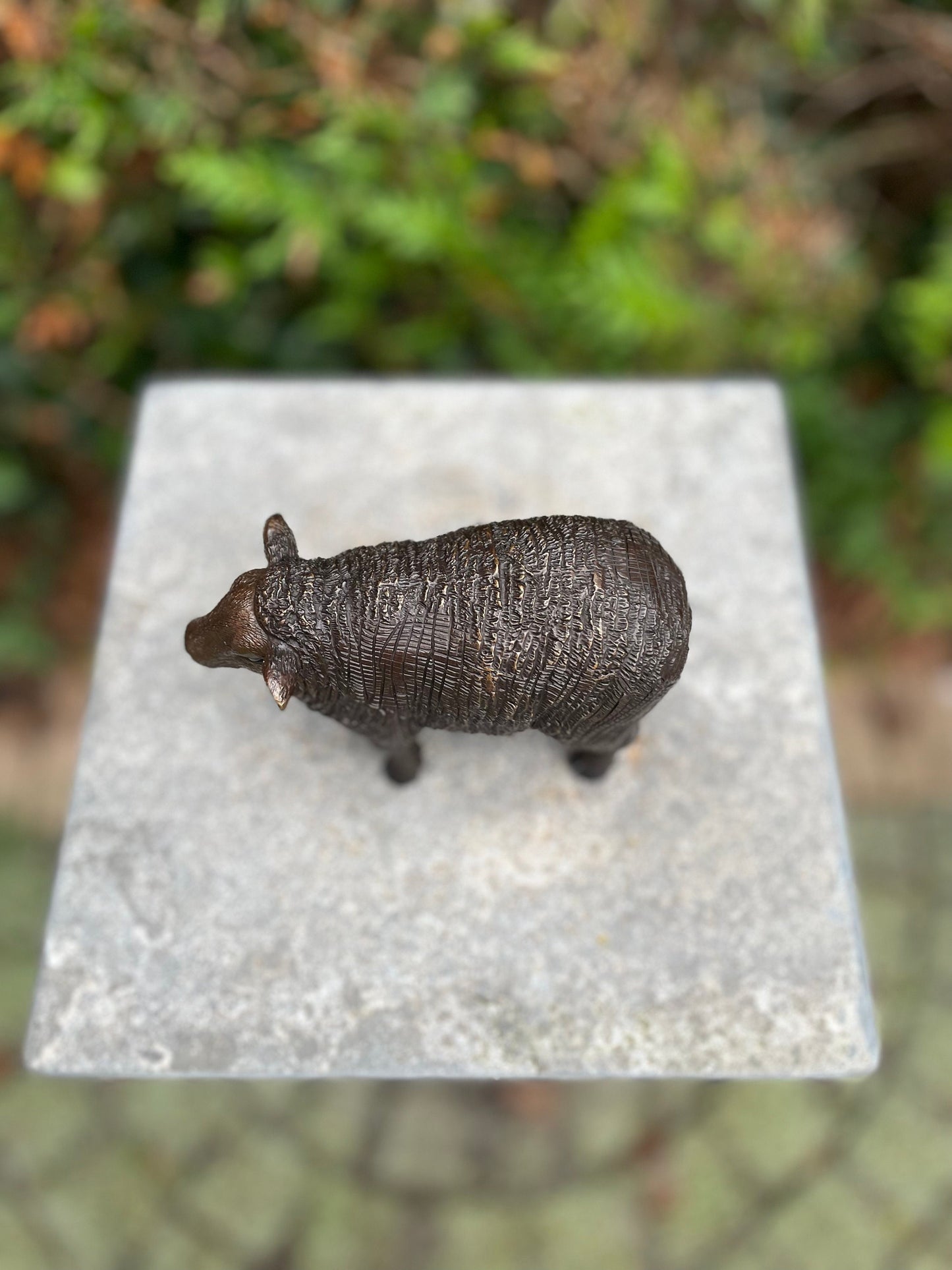 Woolly Sheep – Bronze Sculpture. 14x6x10cm - 0.5Kg