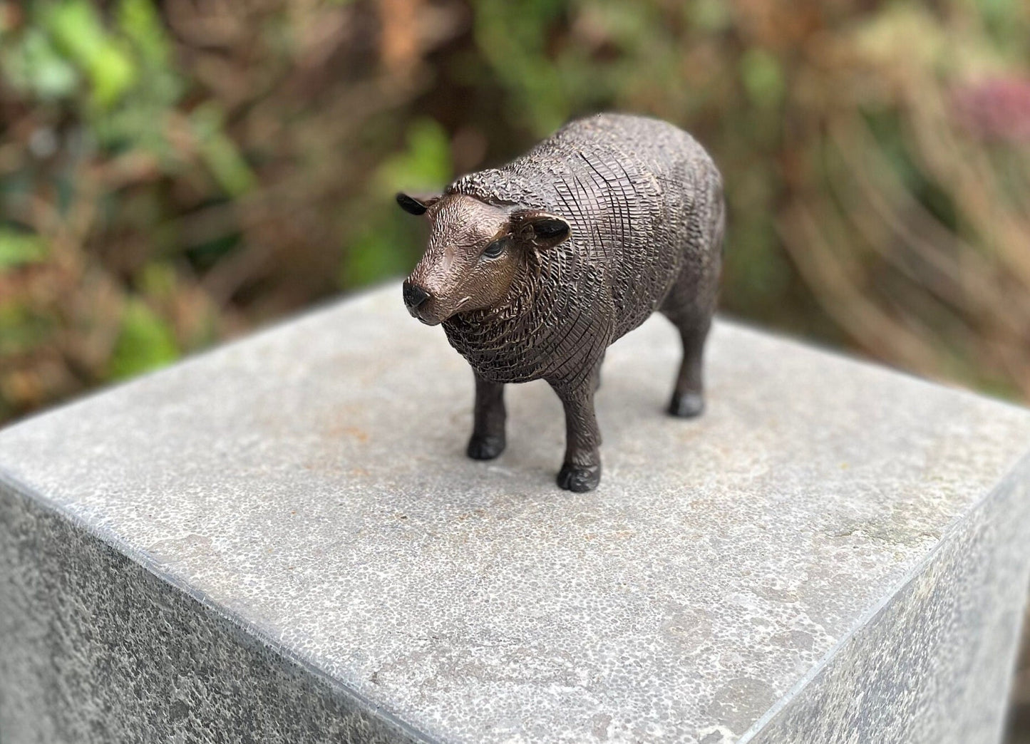 Woolly Sheep – Bronze Sculpture. 14x6x10cm - 0.5Kg