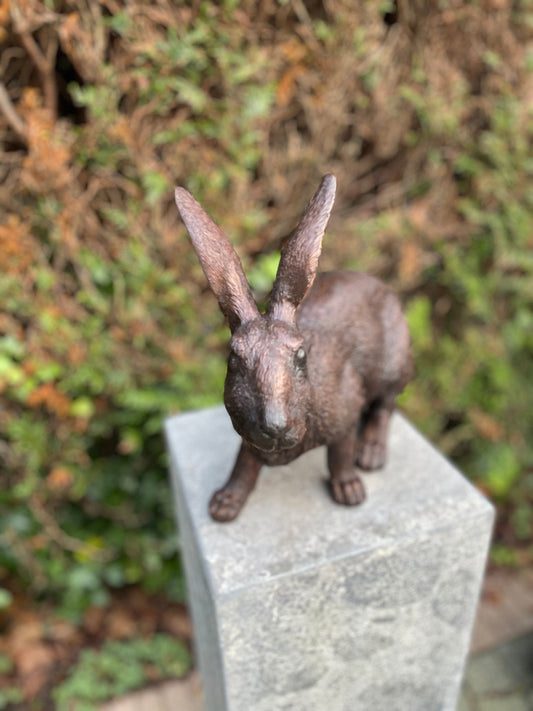 Alert Rabbit – Bronze Sculpture. 34x16x28cm - 4Kg