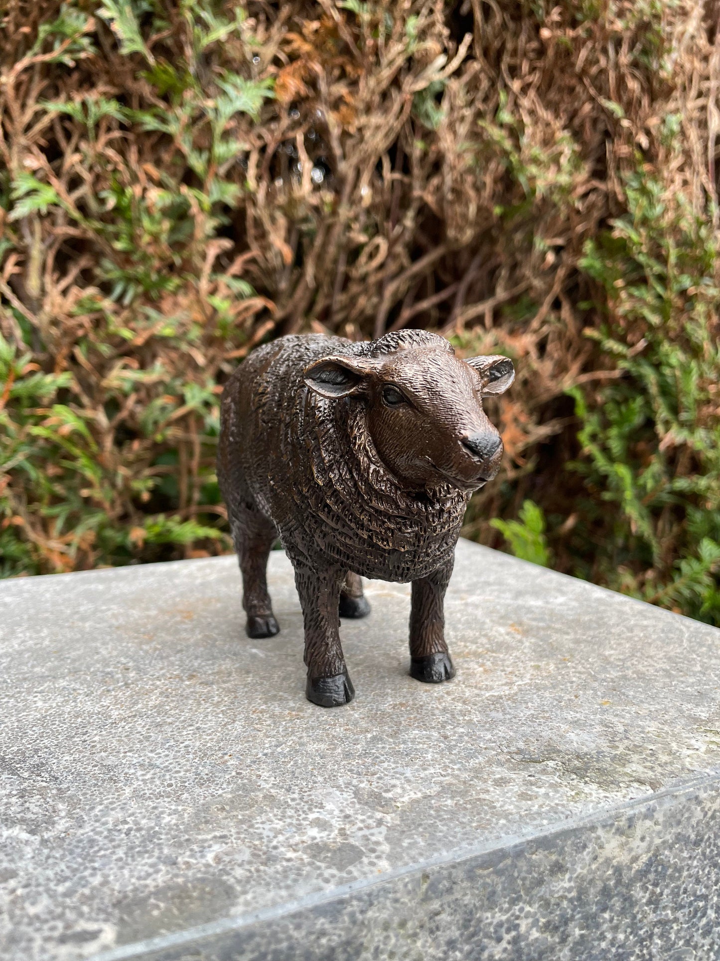 Woolly Sheep – Bronze Sculpture. 14x6x10cm - 0.5Kg
