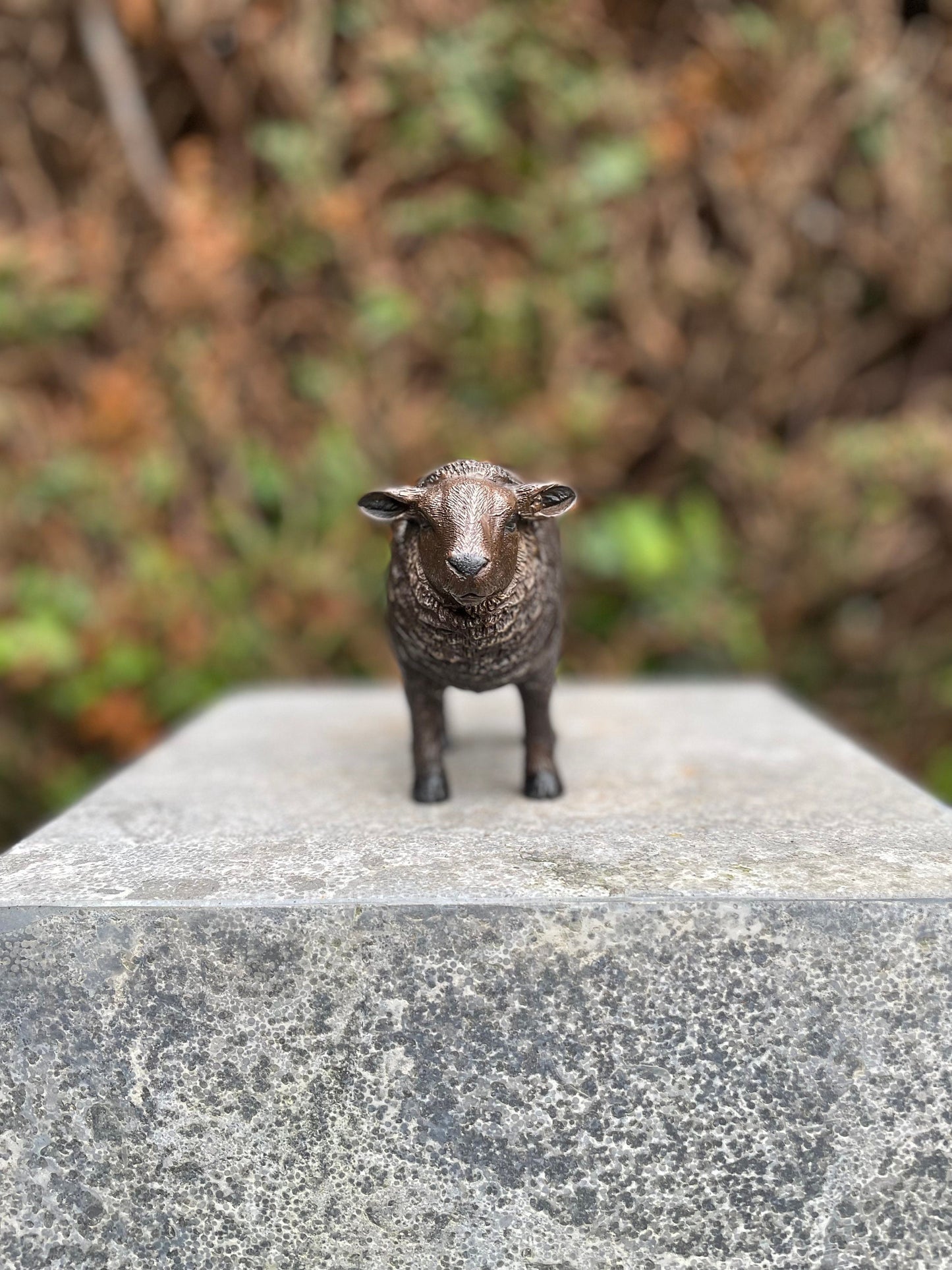Woolly Sheep – Bronze Sculpture. 14x6x10cm - 0.5Kg