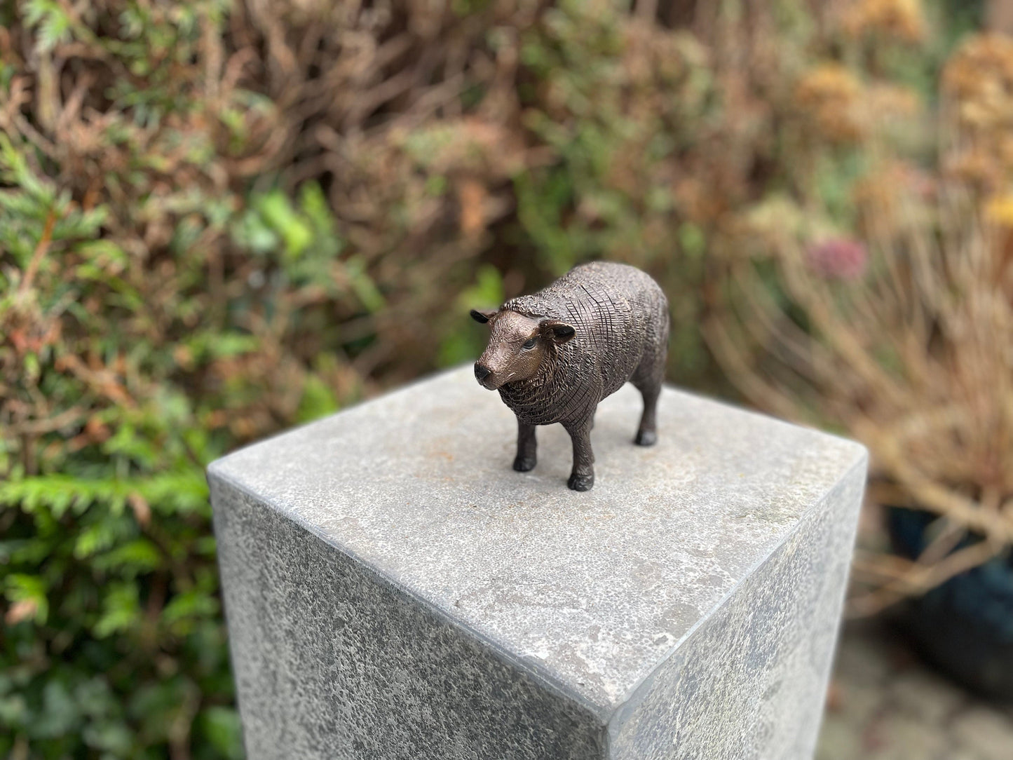 Woolly Sheep – Bronze Sculpture. 14x6x10cm - 0.5Kg