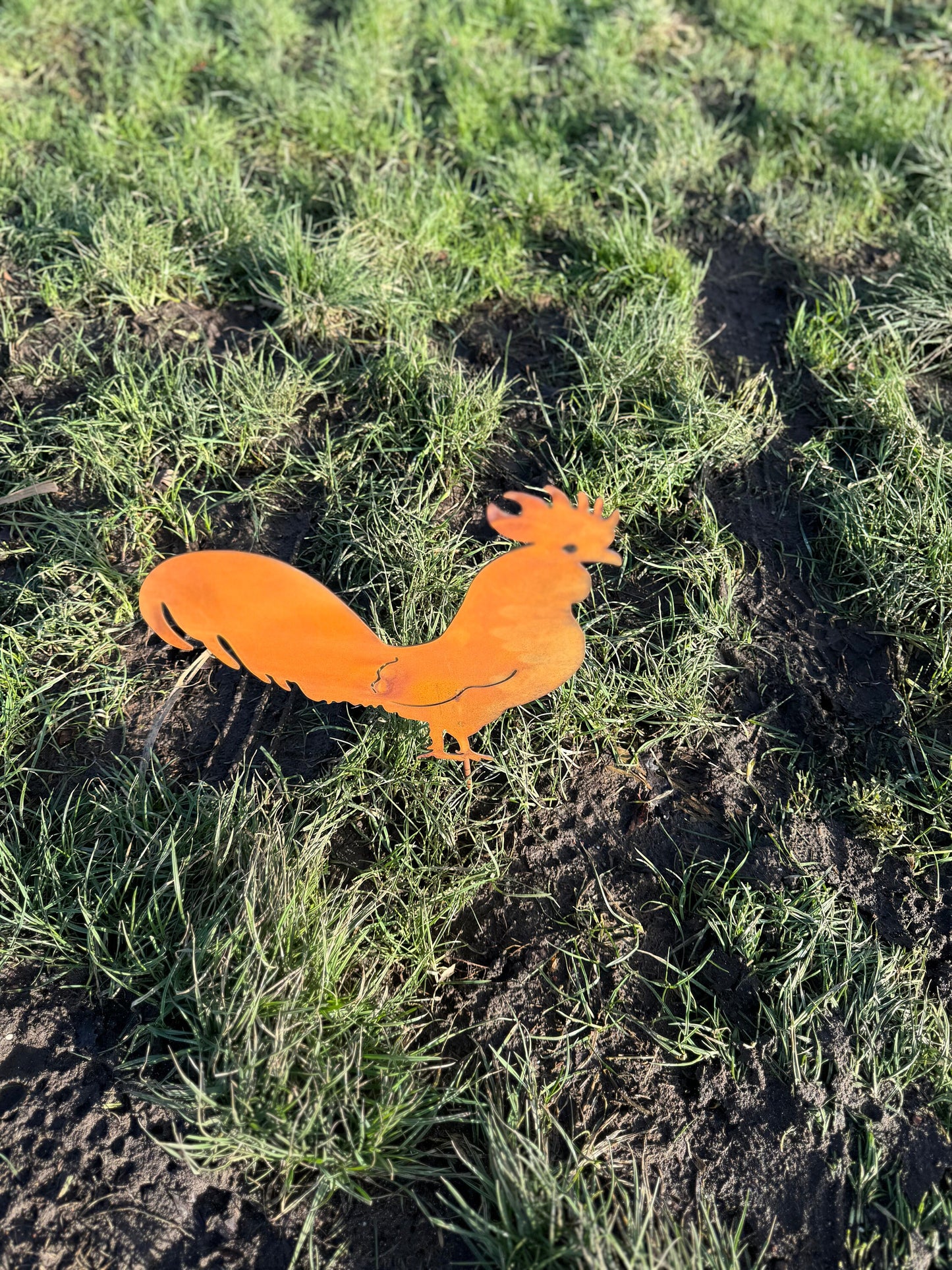 Rustic Rooster – Iron Sculpture. 34x39x1cm