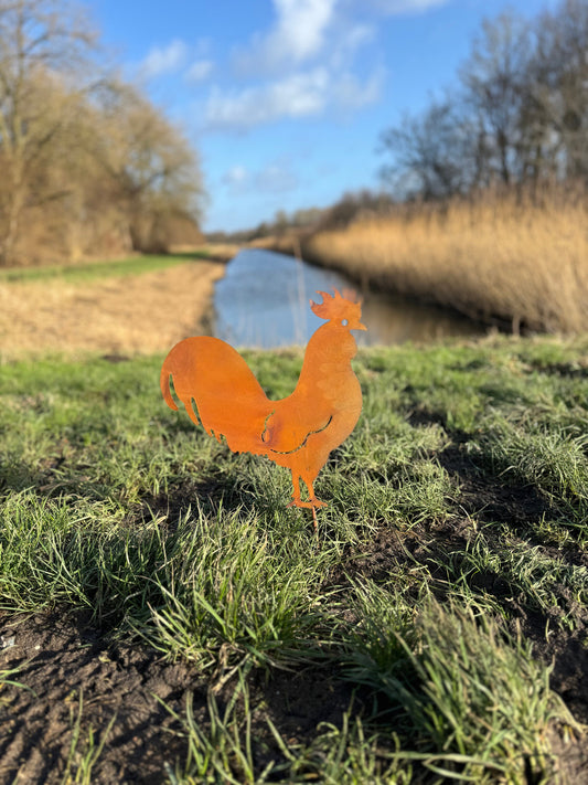Rustic Rooster – Iron Sculpture. 34x39x1cm