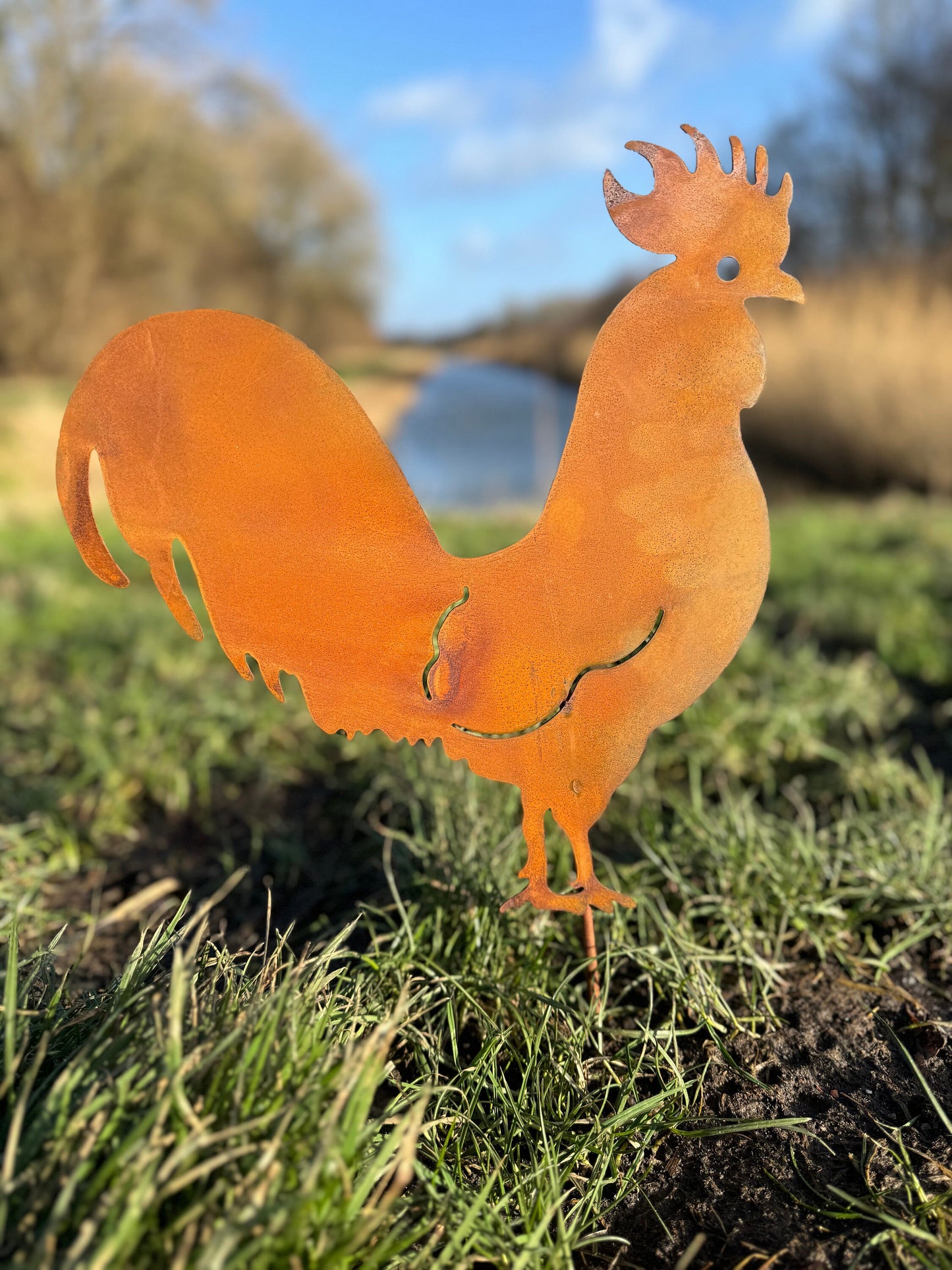 Rustic Rooster – Iron Sculpture. 34x39x1cm