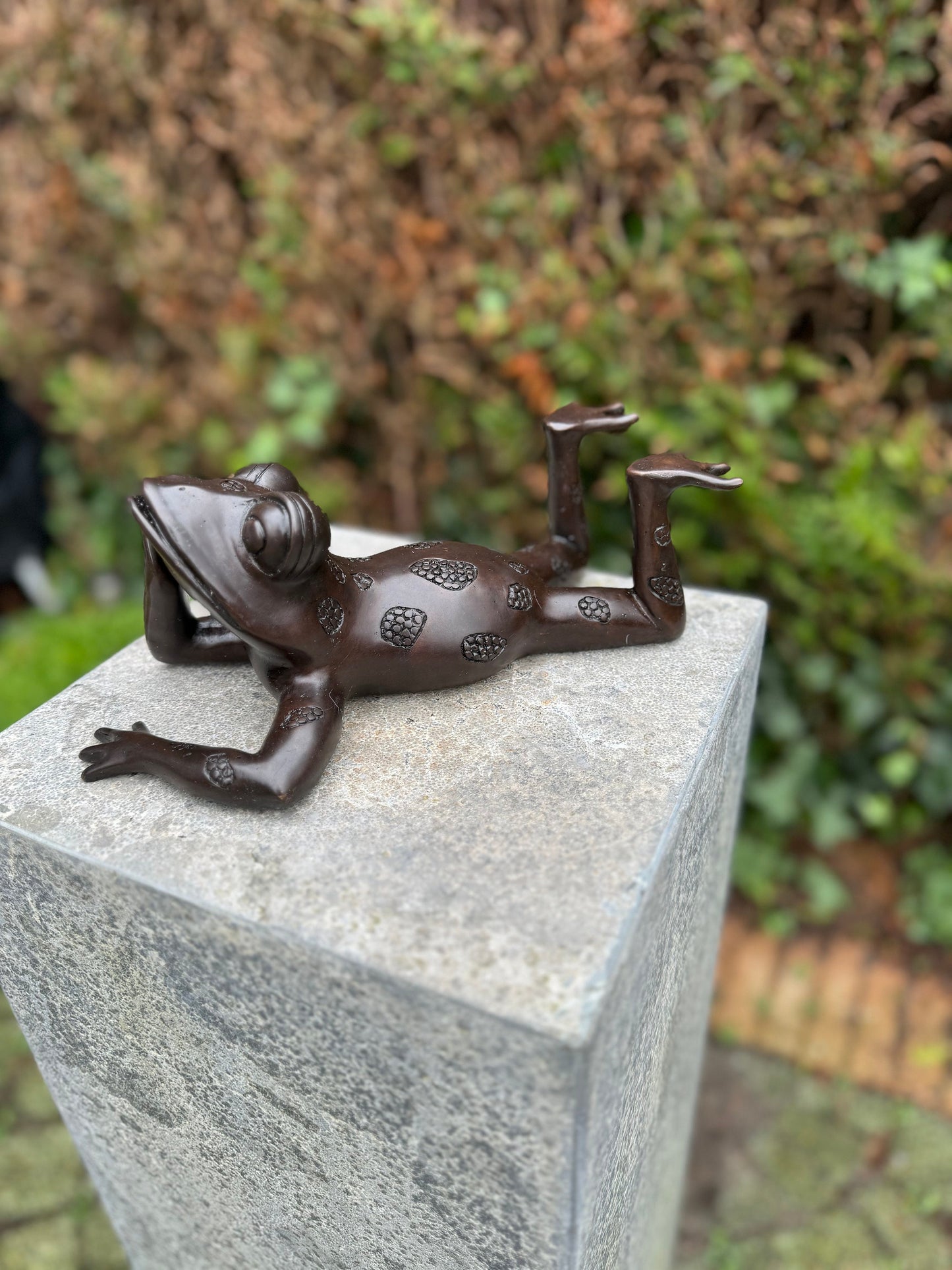 Relaxed Frog – Bronze Sculpture. 27x15x10cm - 1.6Kg