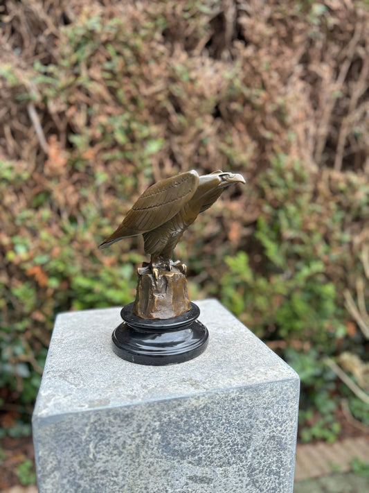 Sharp-Eyed Eagle – Bronze Sculpture. 20x12x21cm - 2Kg