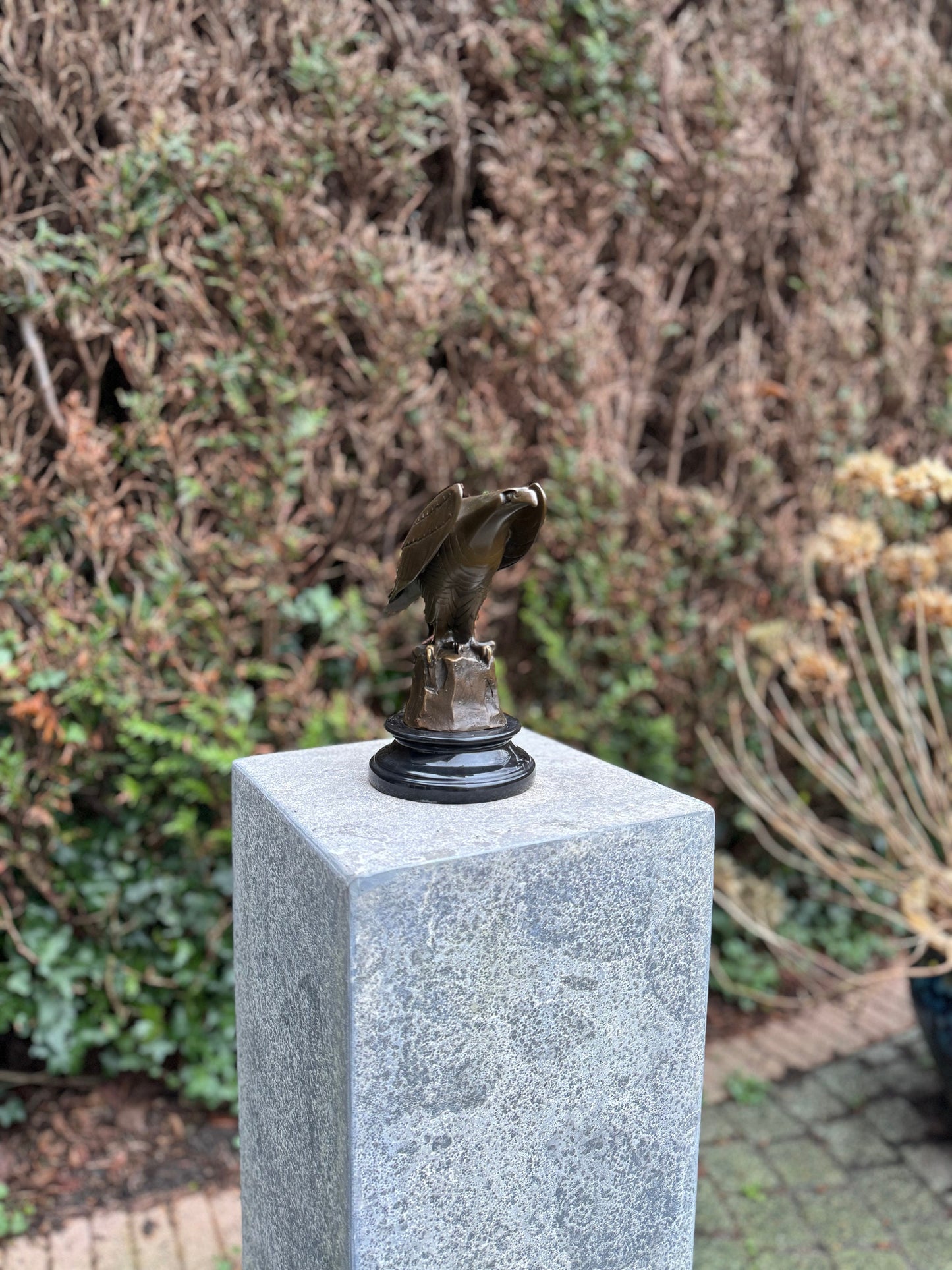 Sharp-Eyed Eagle – Bronze Sculpture. 20x12x21cm - 2Kg