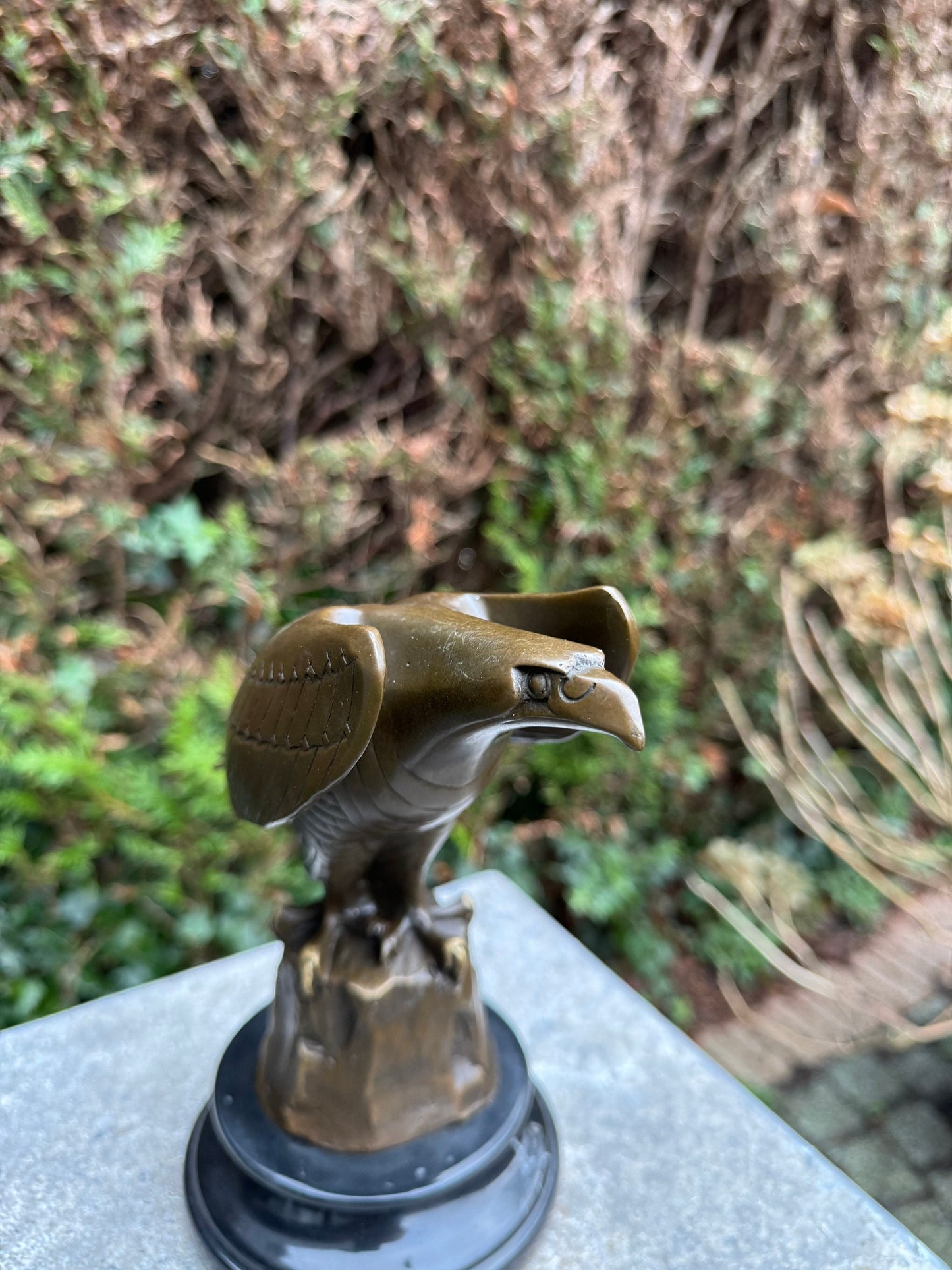 Sharp-Eyed Eagle – Bronze Sculpture. 20x12x21cm - 2Kg