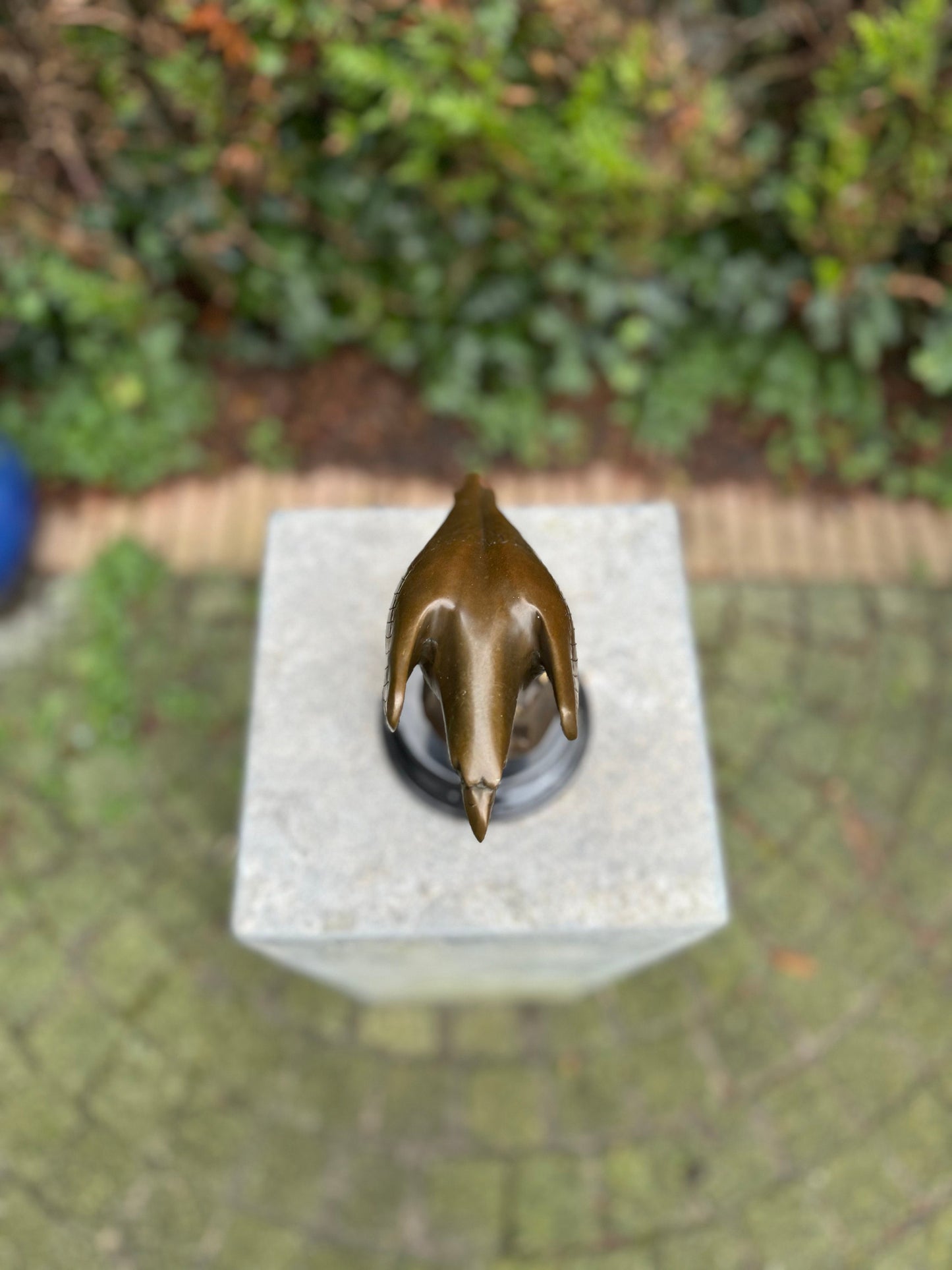 Sharp-Eyed Eagle – Bronze Sculpture. 20x12x21cm - 2Kg