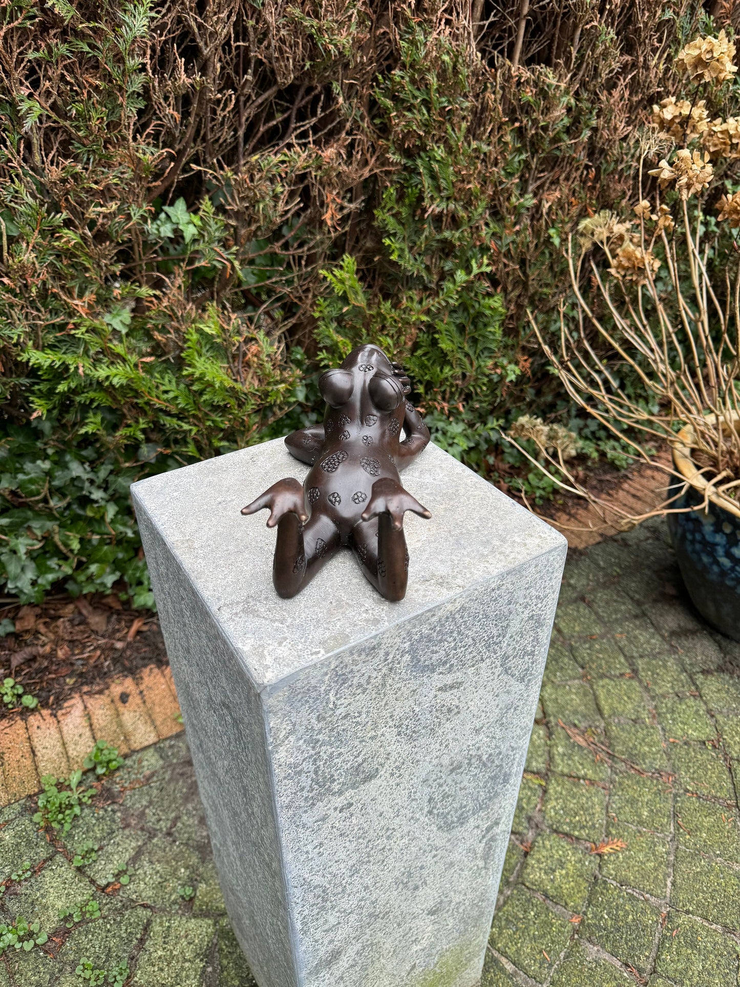 Relaxed Frog – Bronze Sculpture. 27x15x10cm - 1.6Kg