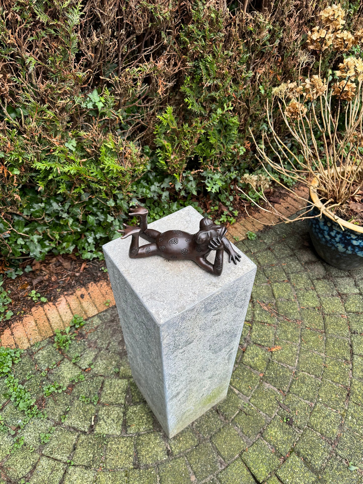 Relaxed Frog – Bronze Sculpture. 27x15x10cm - 1.6Kg
