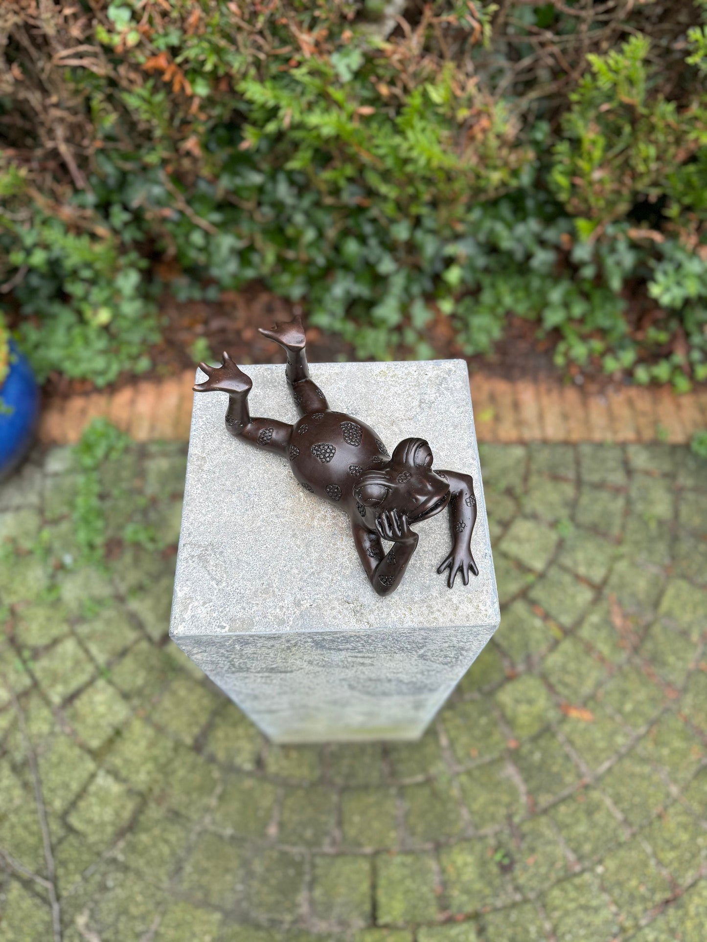 Relaxed Frog – Bronze Sculpture. 27x15x10cm - 1.6Kg