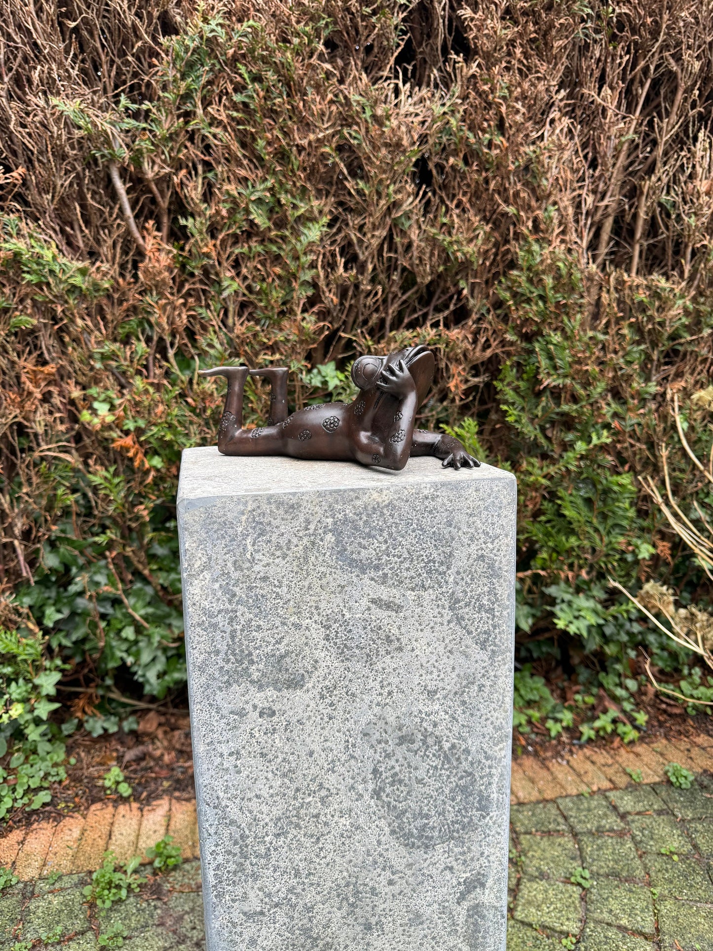 Relaxed Frog – Bronze Sculpture. 27x15x10cm - 1.6Kg