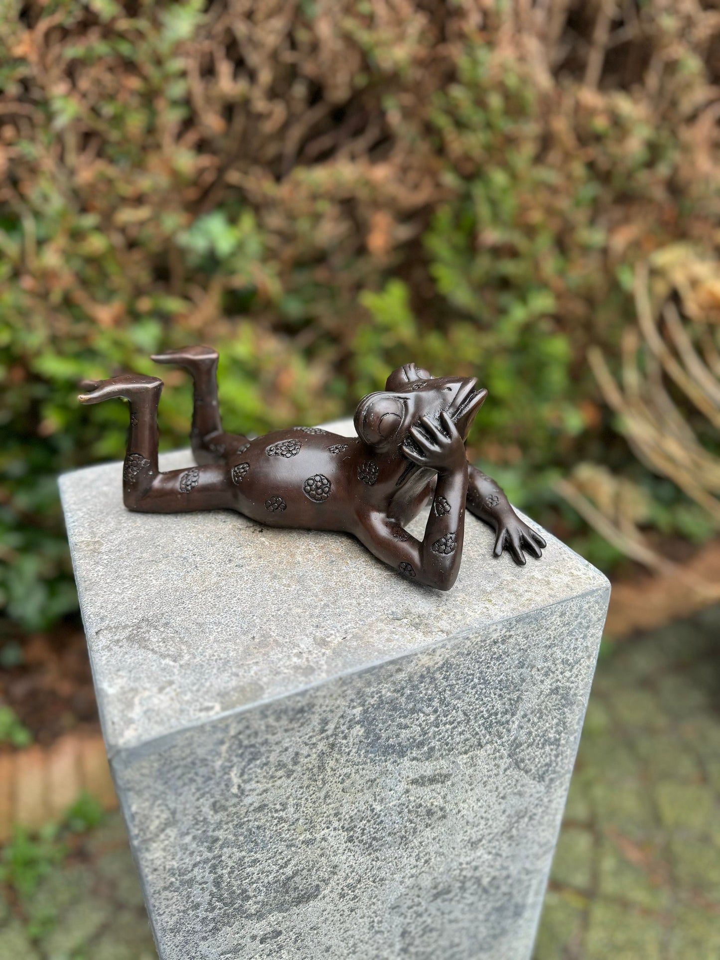 Relaxed Frog – Bronze Sculpture. 27x15x10cm - 1.6Kg