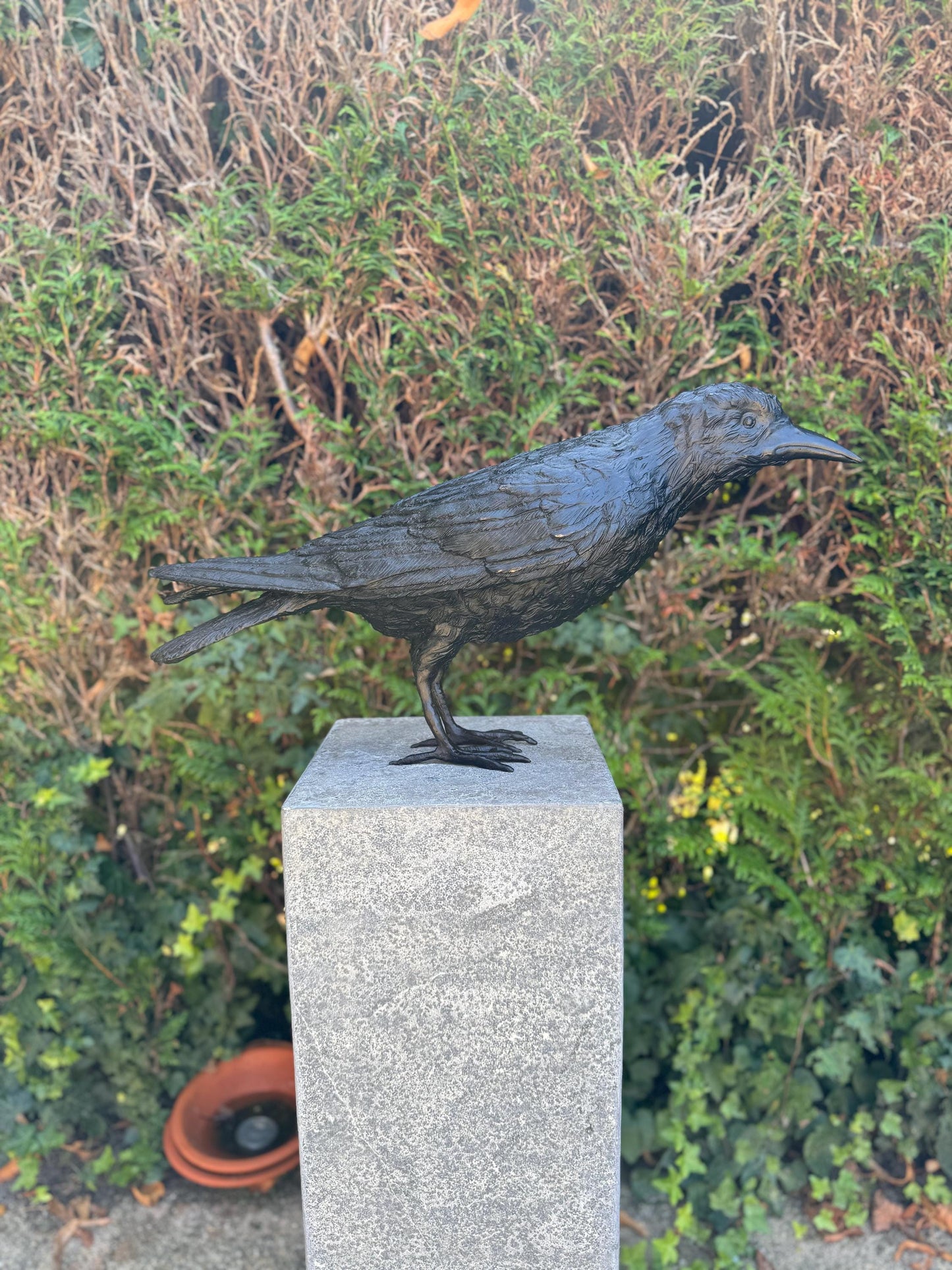 Majestic Raven – Bronze Sculpture. 55x13x37cm