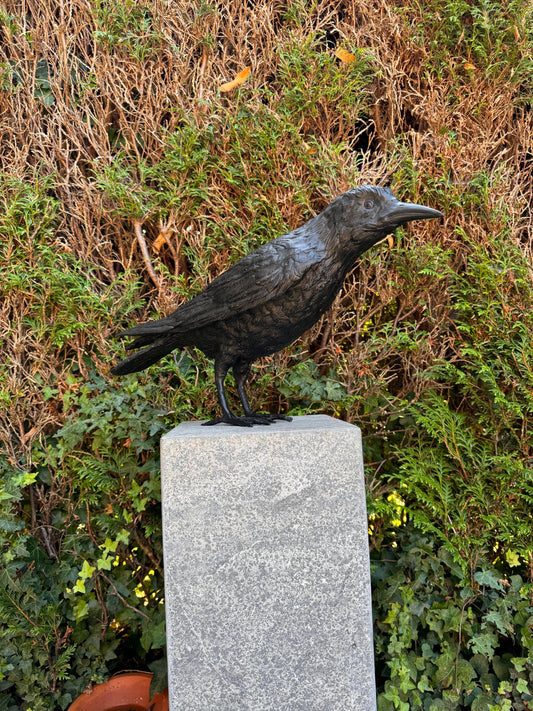 Majestic Raven – Bronze Sculpture. 55x13x37cm