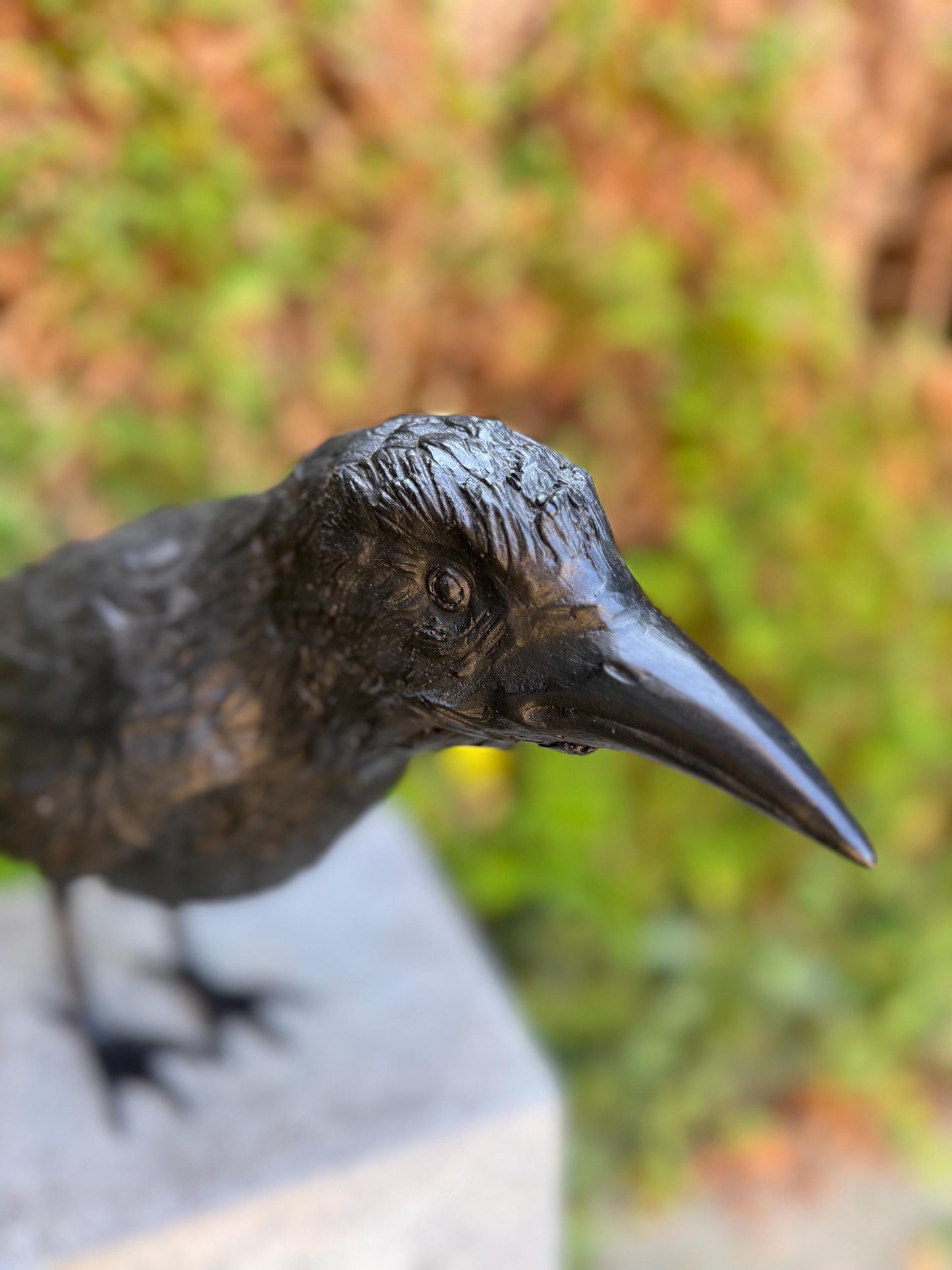 Majestic Raven – Bronze Sculpture. 55x13x37cm