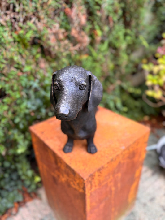 Standing Dachshund – Bronze Sculpture. 69x17x33cm - 7.4Kg