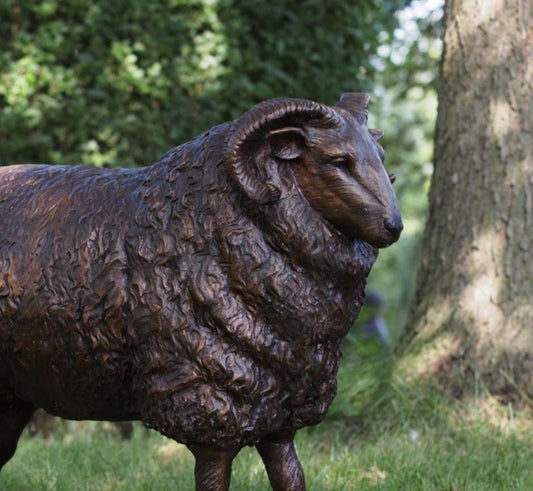 Majestic Ram – Bronze Sculpture. Variations Available