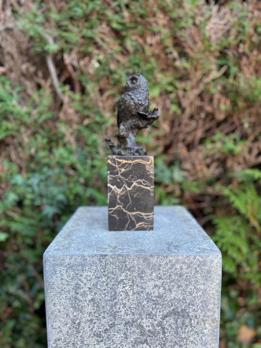 Silent Wisdom – Bronze Sculpture. 27x8x9cm - 2.7Kg