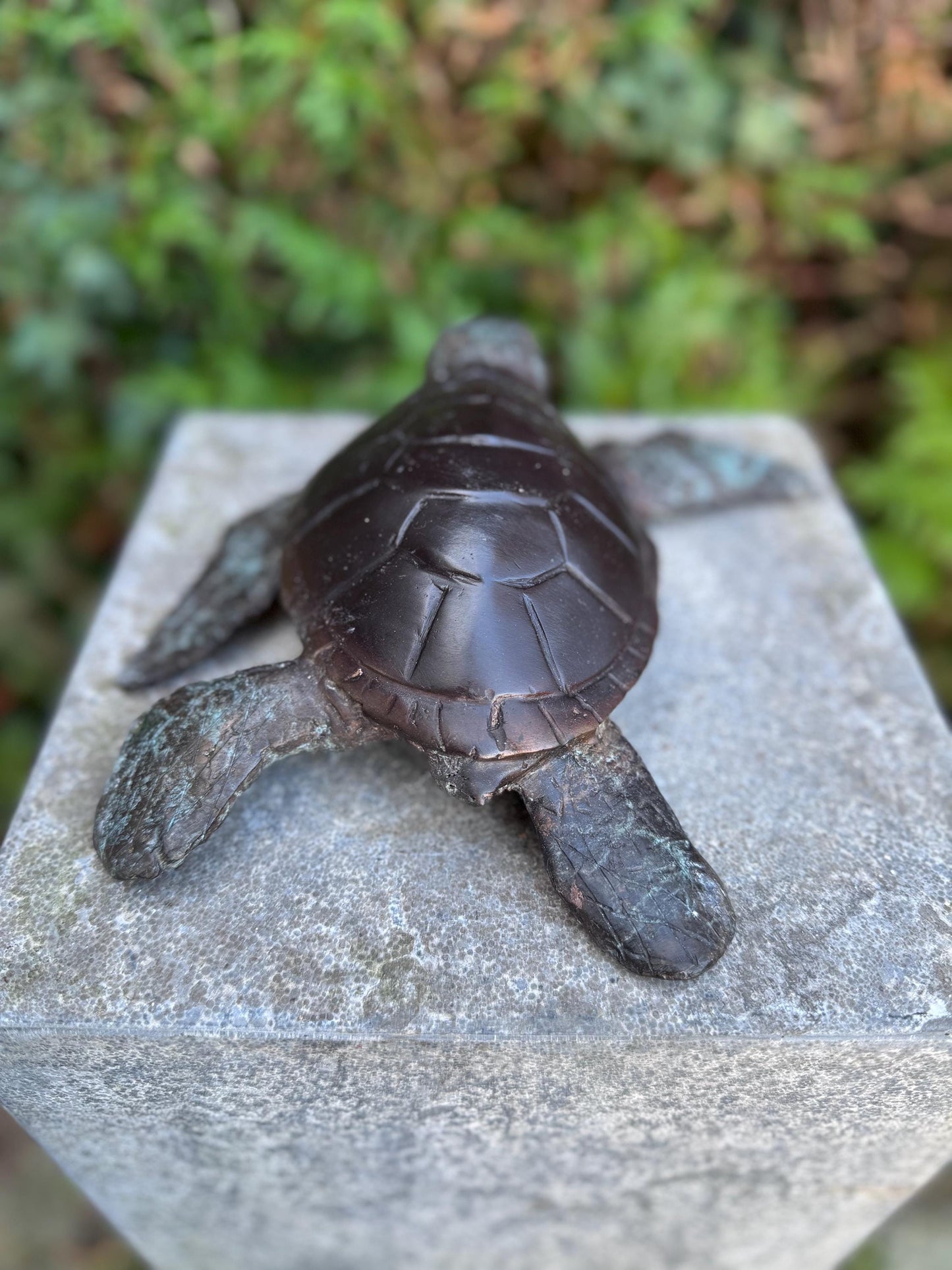 Sea Turtle – Bronze Sculpture. 6x22x23cm - 1.5Kg