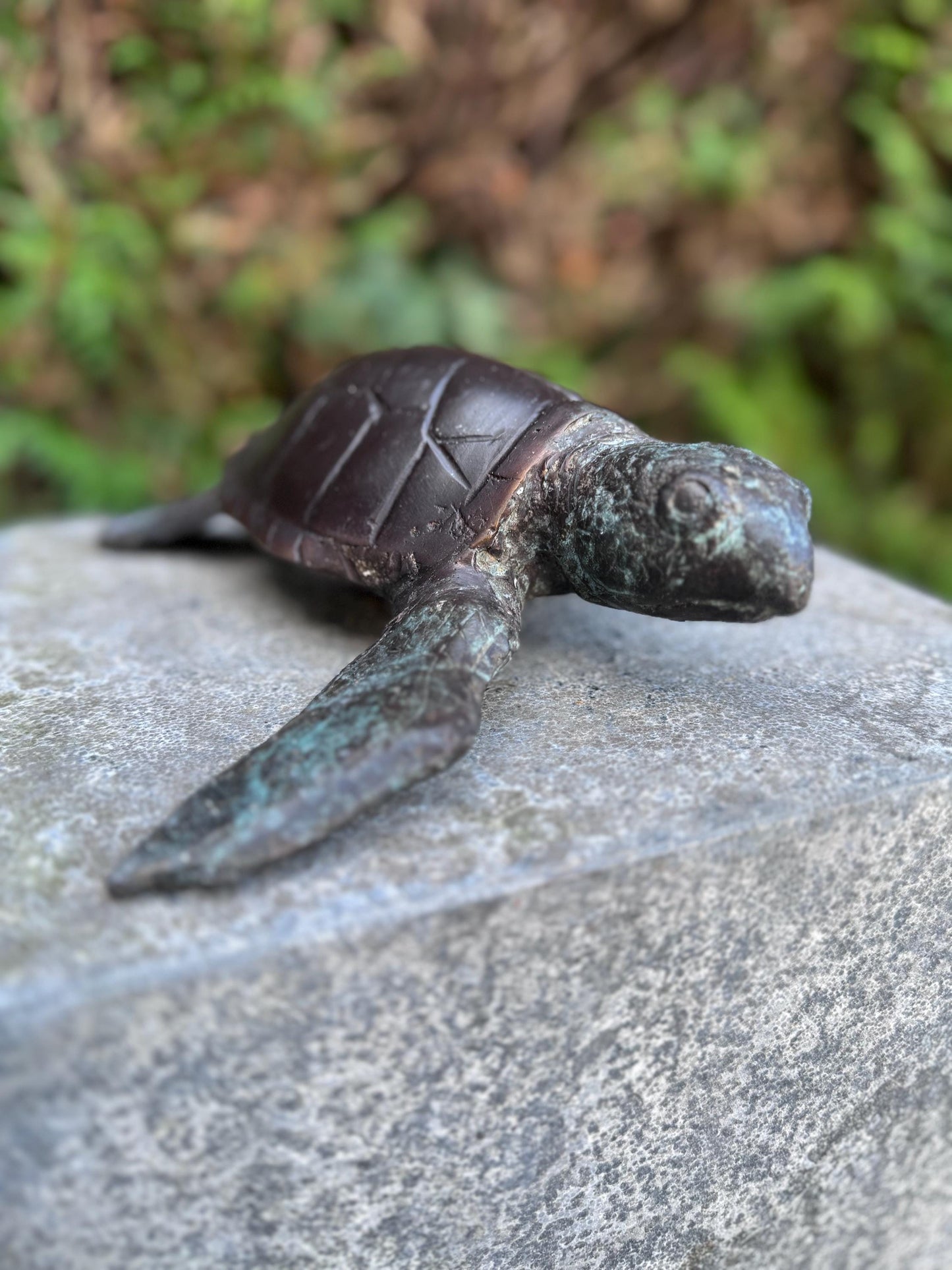 Sea Turtle – Bronze Sculpture. 6x22x23cm - 1.5Kg