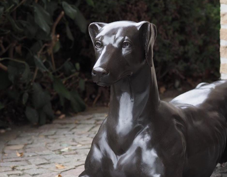 Resting Greyhound – Bronze Sculpture. 130x31x51cm - 12Kg