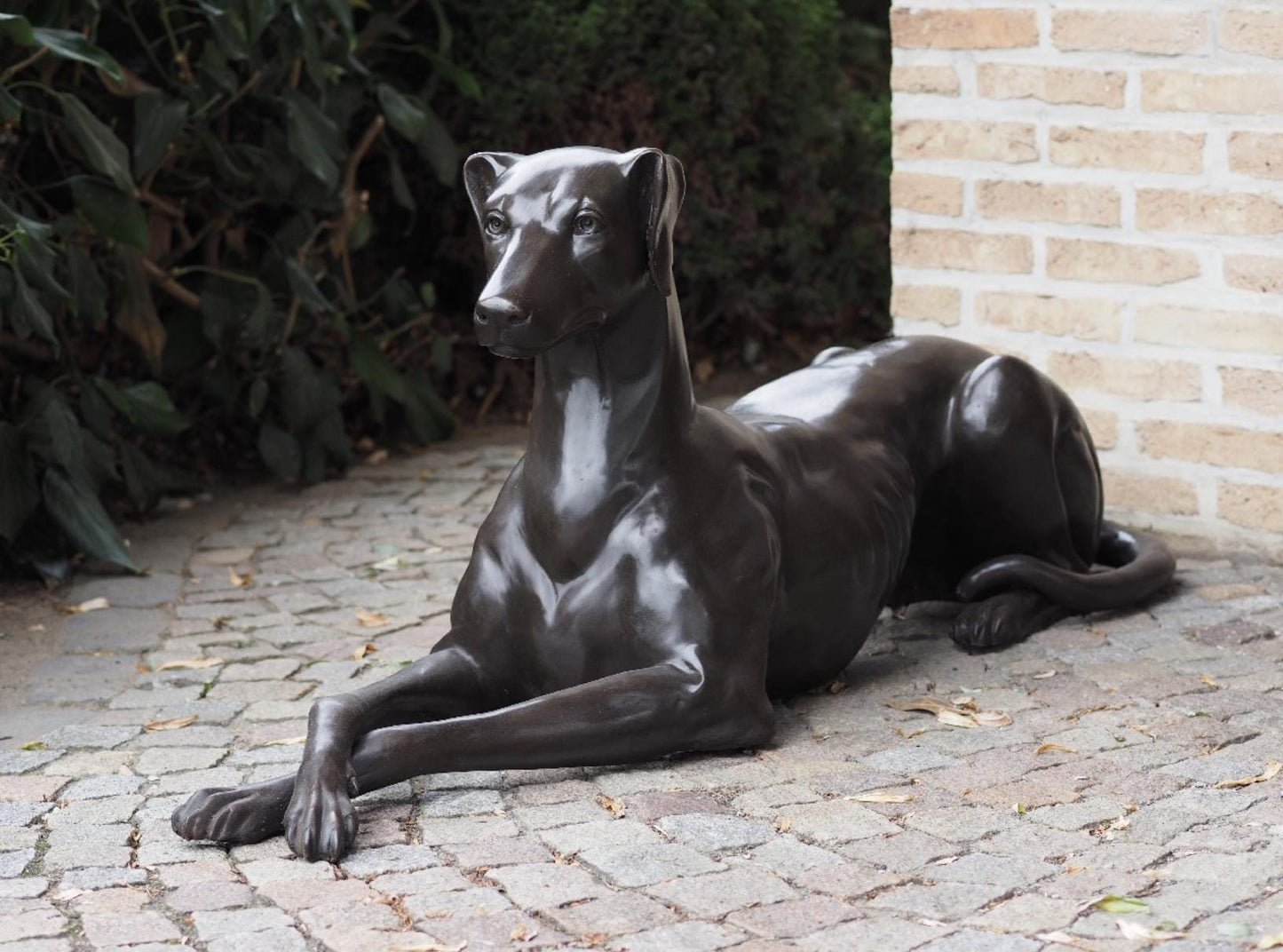 Resting Greyhound – Bronze Sculpture. 130x31x51cm - 12Kg