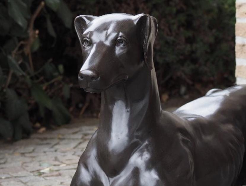 Resting Greyhound – Bronze Sculpture. 130x31x51cm - 12Kg