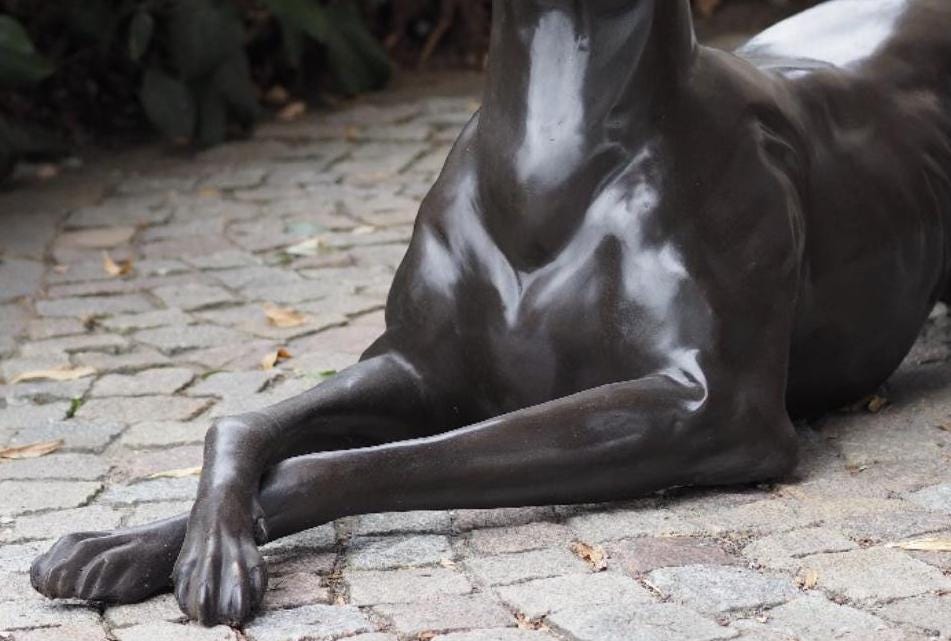 Resting Greyhound – Bronze Sculpture. 130x31x51cm - 12Kg