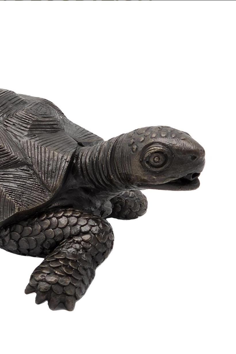 Steady Tortoise – Bronze Sculpture. 29x19x10cm - 0.8Kg