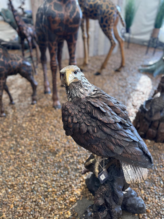Regal Eagle – Bronze Sculpture. 44x31x81cm - 10Kg