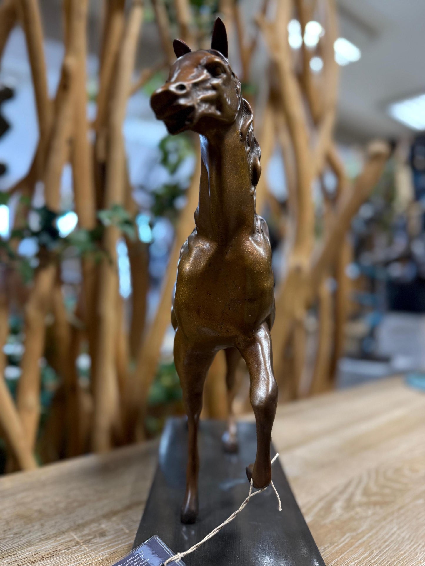 Trotting Horse – Bronze Sculpture. 44x14x37cm