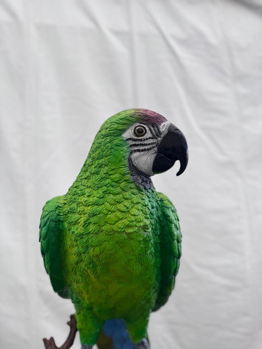 Green Macaw on Branch – Bronze Sculpture. 70x70x168cm - 15Kg